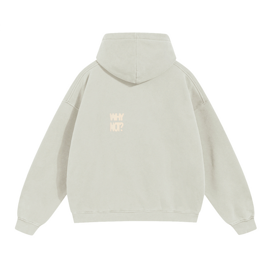Hoodie "Why Not?"