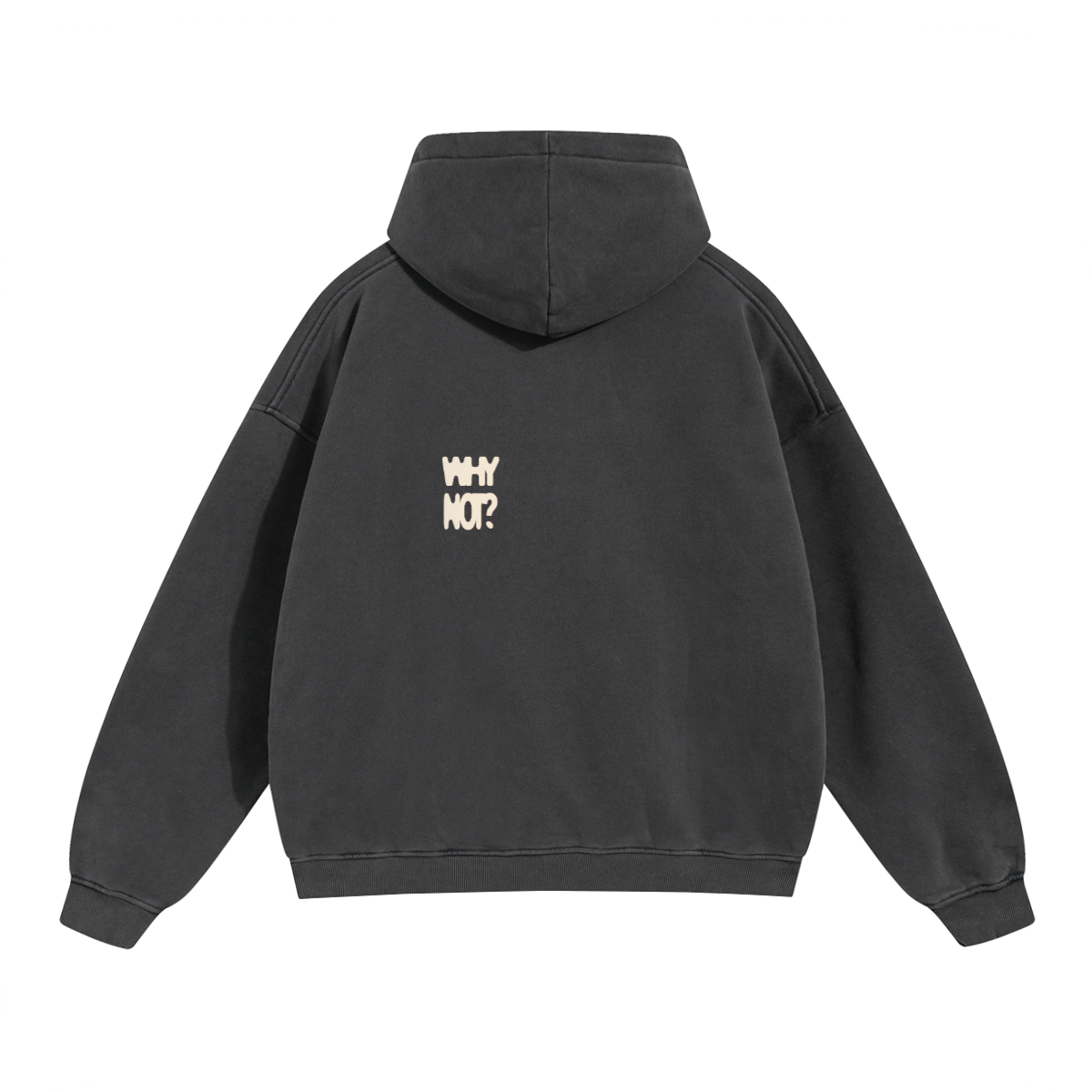 Hoodie "Why Not?"