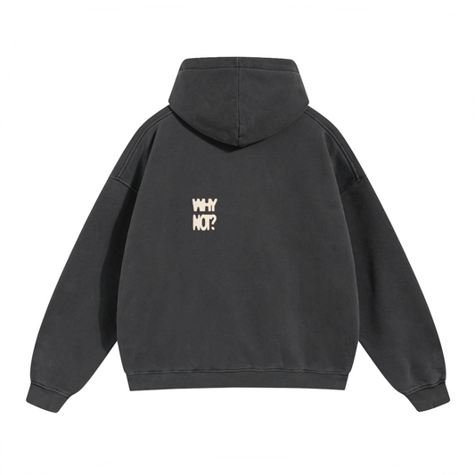 Hoodie "Why Not?"
