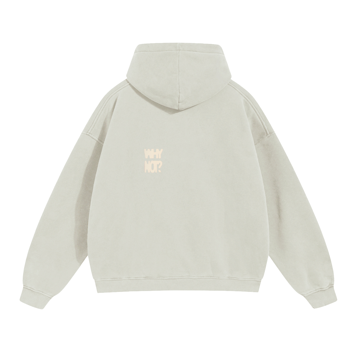 Hoodie "Why Not?"